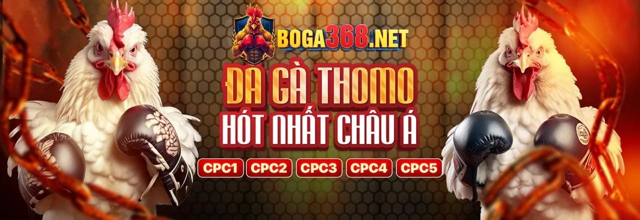 Giao diện ứng dụng daga.com đăng nhập trên điện thoại